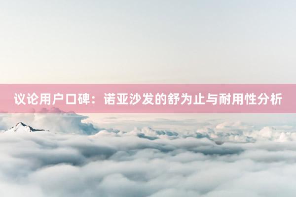 议论用户口碑：诺亚沙发的舒为止与耐用性分析